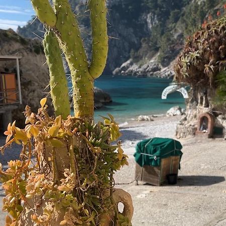Capri Magic House On The Beach Luaran gambar