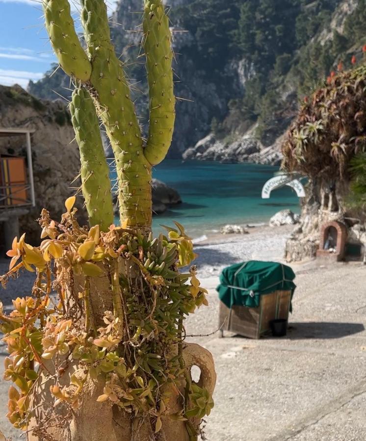Capri Magic House On The Beach Luaran gambar